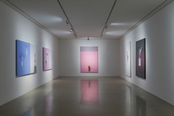 Han Manyoung Arario Gallery Cheonan 4F 02