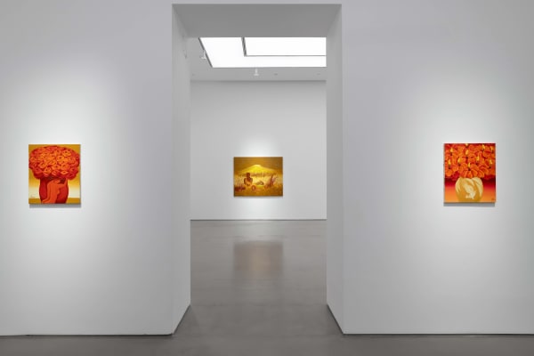 Installation View Jung Kangja 6