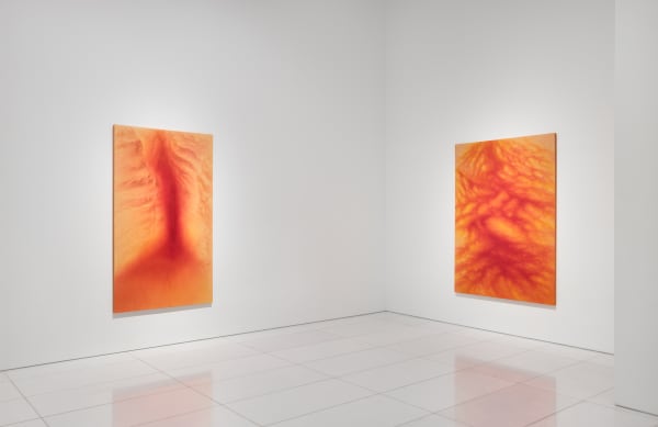 Installation View 1F 05