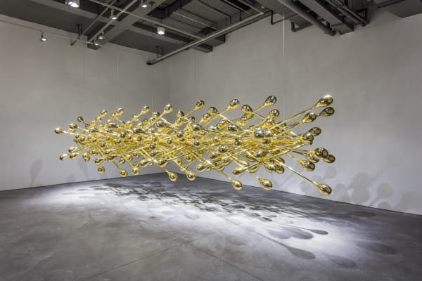 Wechatimg681535446902 Pic Hd