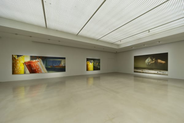 Installation View At Arario Gallery Cheonan 3F 5