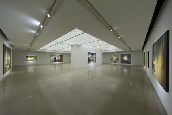 Installation View At Arario Gallery Cheonan 4F 12