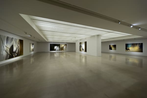 Installation View At Arario Gallery Cheonan 4F 13