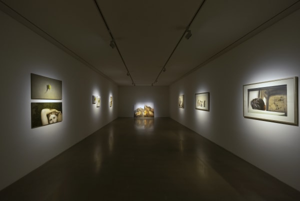 Installation View At Arario Gallery Cheonan 4F 5