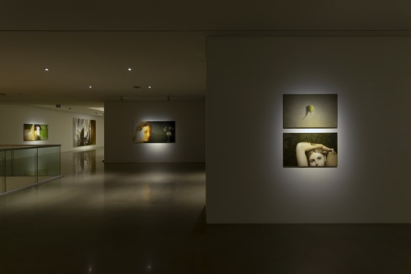 Installation View At Arario Gallery Cheonan 4F 7