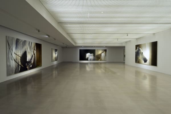 Installation View At Arario Gallery Cheonan 4F 8