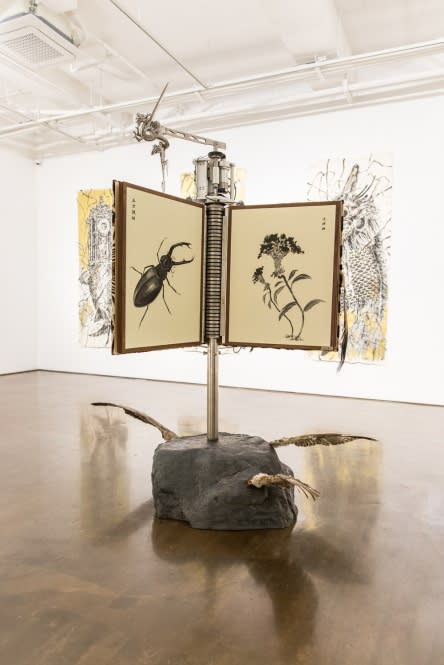 SUN XUN, THE BOOK OF TOTEM, 2016