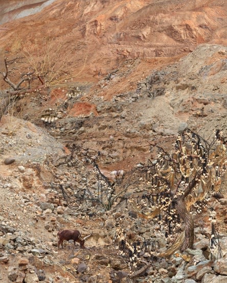 WON SEOUNG WON, QUARRIES OF THE FINANCIERS, 2017, C-PRINT