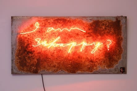 I Am So Happy 2016 Neon On Panel 170X85X7Cm