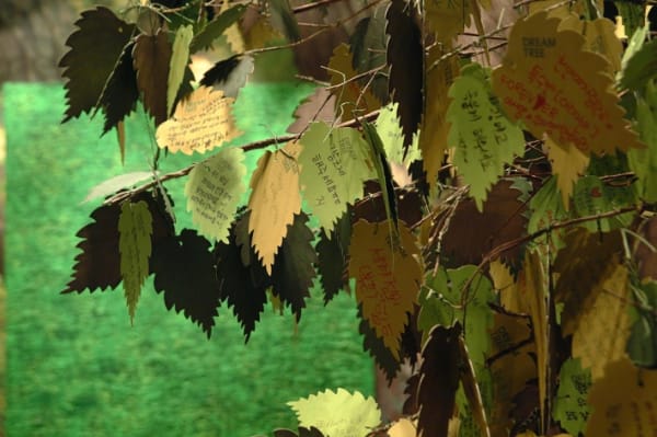 Thumb 709 Exh Img 9 2599