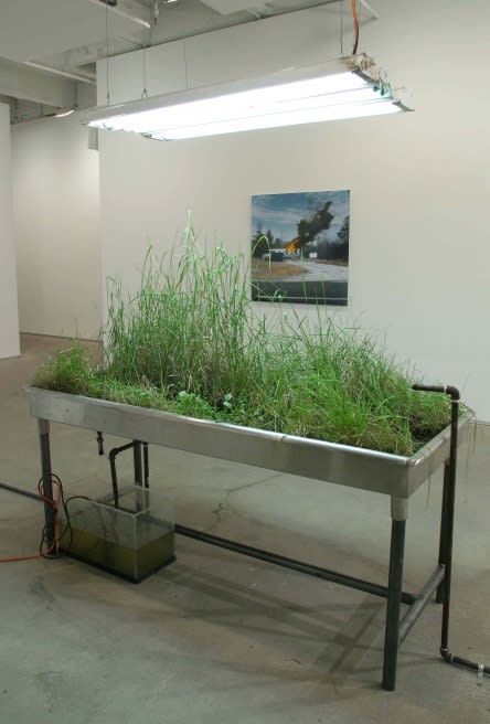 ROB FISHER, SUMMARY (GOODYEAR ECOLOGY), 2004-2005