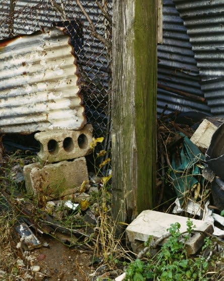 ROE ETHRIDGE, UNTITLED BROOKLYN, 2005