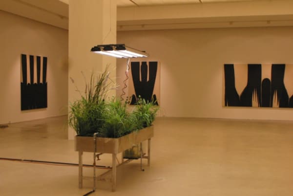 Thumb 709 Exh Img 25 3174