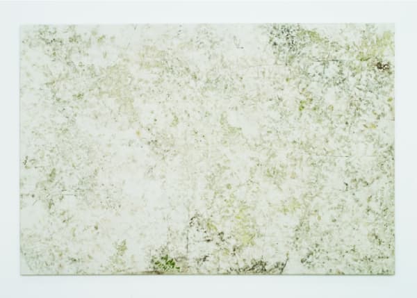 Karin Sander Postcard