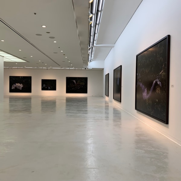 [Exhibition] PARK Youngsook: Lee Joongsub Art Prize