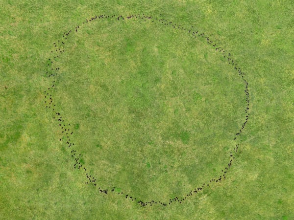 [Exhibition] KIM Inbai: Unhidden / Unseeable