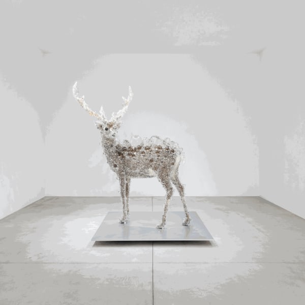 [Exhibition] Kohei NAWA: Generative Interface