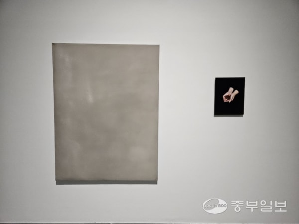 [News] Yellow ribbon that fluttered for 10 years, when will the answer of the years come to mind... The 10th anniversary of the Ferry Sewol disaster 'Memory, Stare, Wish"