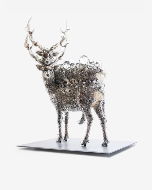 [News] A Bookstore Turned Gallery: Tsutaya's Transformation