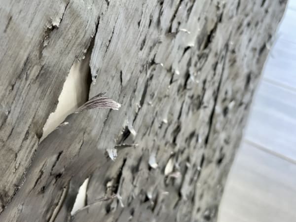 [News] Why did he fill the paper with dense strokes of pen... CHOI Byungso's exhibition 'NOW HERE'