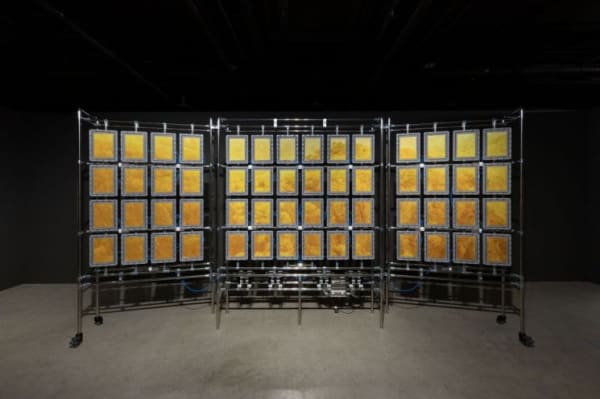 “Sensing the Here and Now”... BEAK Jungki’s is of Exhibition Focuses on the Theme of ‘Disappearance’