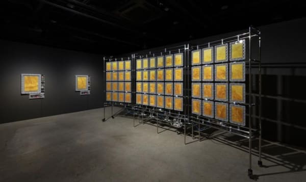 Is Photography Eternal?… BEAK Jungki’s Art Meets Science in 'is of'