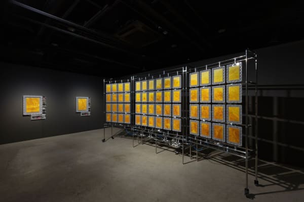 BEAK Jungki's 'is of': A Journey into the Paradox of Finite and Infinite Existence