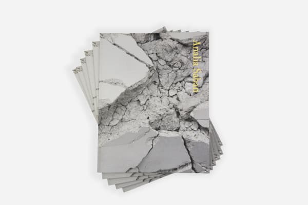 Analia SABAN: Particle Theory