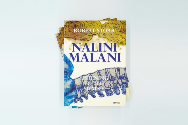 Nalini MALANI: Listening to the Shades