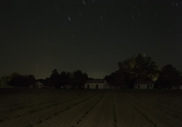 Stopover, 2014; Frogmore Plantation, Concordia Parish, Louisiana