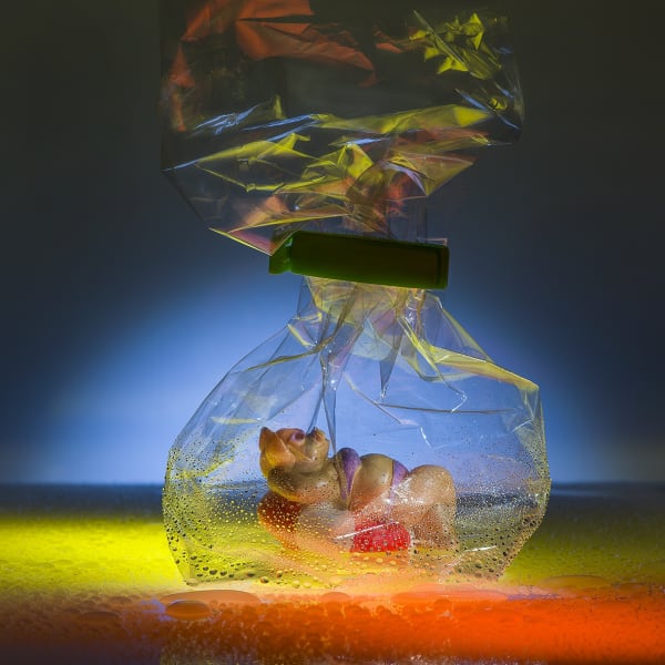 Andreas Botzian Müll Urlaub, 2019