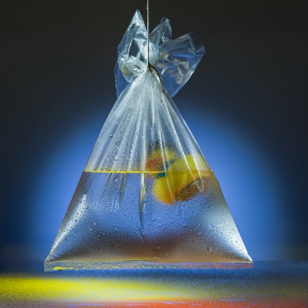 Andreas Botzian Müll Wasser, 2019