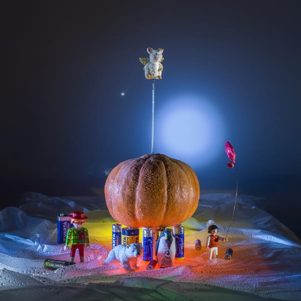 Andreas Botzian Müll Pumpkin, 2019