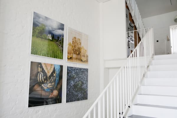 Hexenglaube Lepi Artco 04