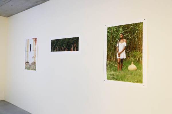 Traces Of Violence Brodsky Titus Artco 03