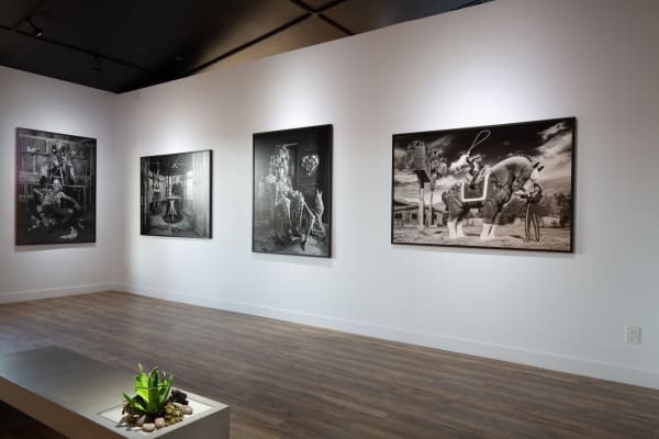 Artco Hdcc Emergence 06