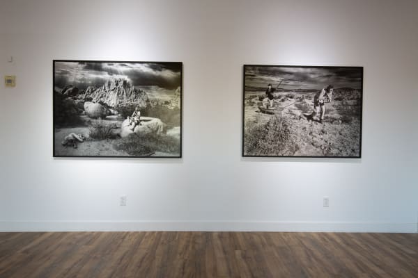 Artco Hdcc Emergence 07