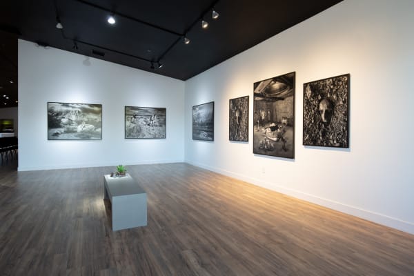 Artco Hdcc Emergence 12