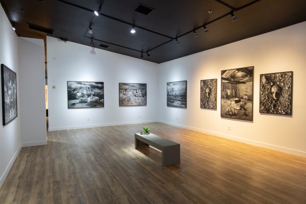 Artco Hdcc Emergence 20