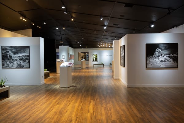 Artco Hdcc Emergence 21