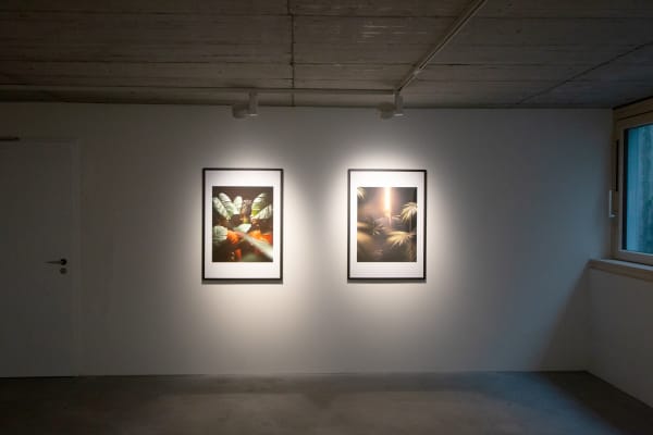 Artco Adeolu Osibodu Feels Like Home Again 04