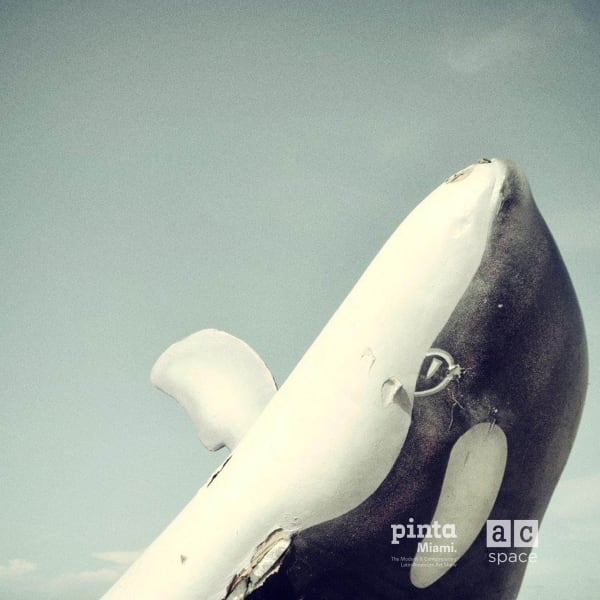 Pinta Miami VIP Exclusive