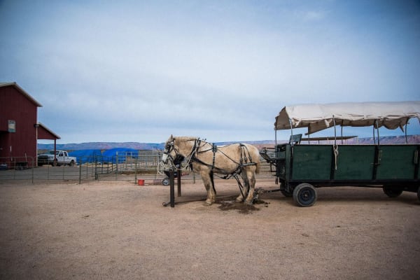 Eloy Costa Artist Spotlight | The Seventh Wild Tale