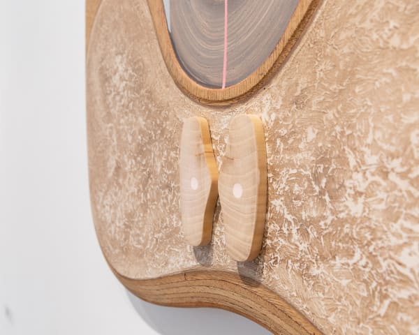 Ewal24 Install Detail 07