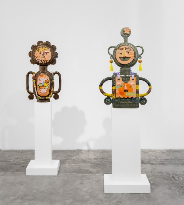 Sdun25 Install 36 Crop