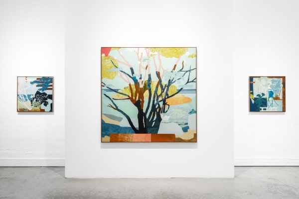 Nmos25 Install 034 1