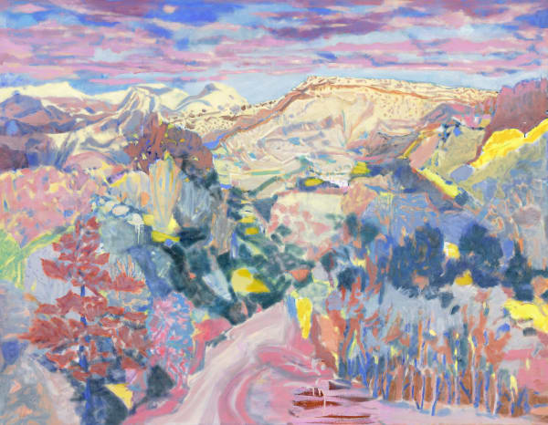 Jo Bertini selected as a finalist in the Wollongong Art Prize