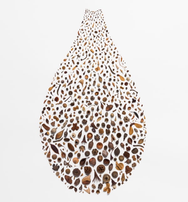 Shona Wilson wins the People's Choice Award in the Environmental Art & Design Prize