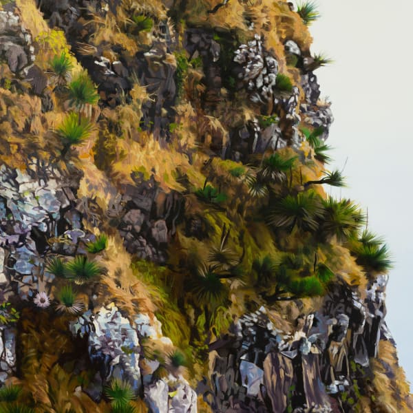 Precipice (detail), oil on polyester canvas, 77 x 137 cm (framed)
