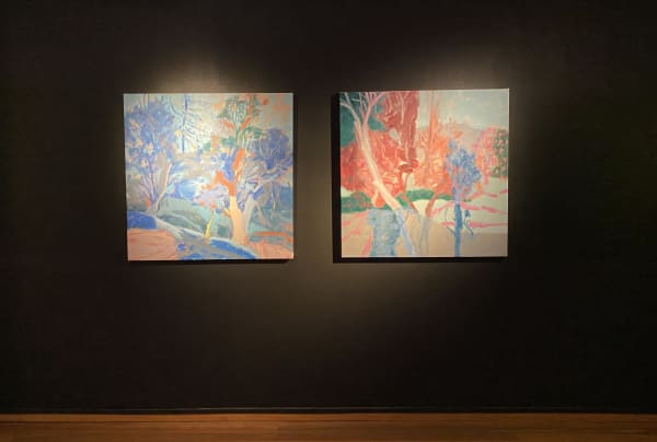 Installation view. 'Curlew Camp' , Mosman Art Gallery